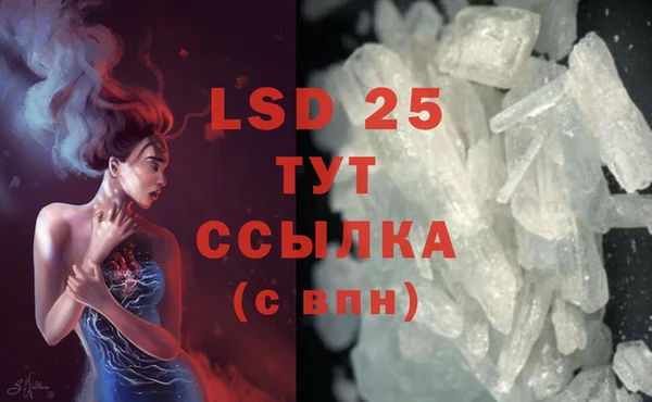 стафф Осинники