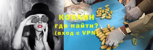 стафф Осинники