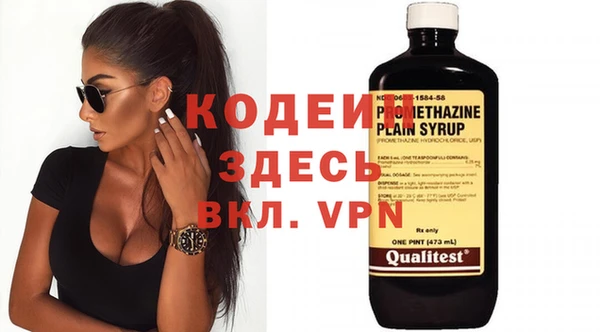 шишки Грязовец