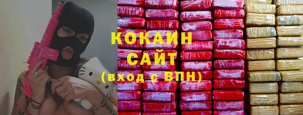 стафф Осинники
