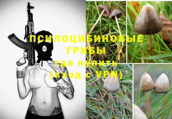 стафф Осинники