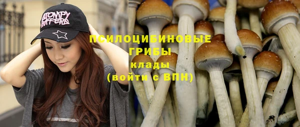 мдма Грязи