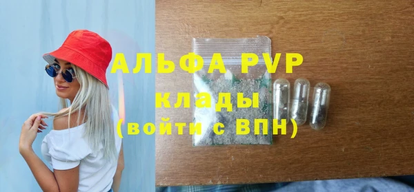 стафф Осинники