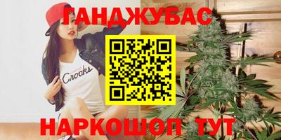 шишки Бийск