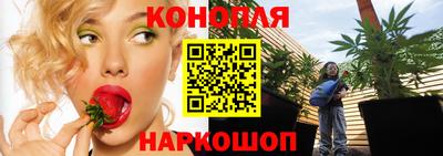 шишки Бийск