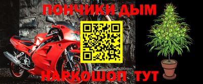 шишки Бийск