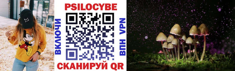 Галлюциногенные грибы Cubensis  что такое наркотик  Зеленокумск 