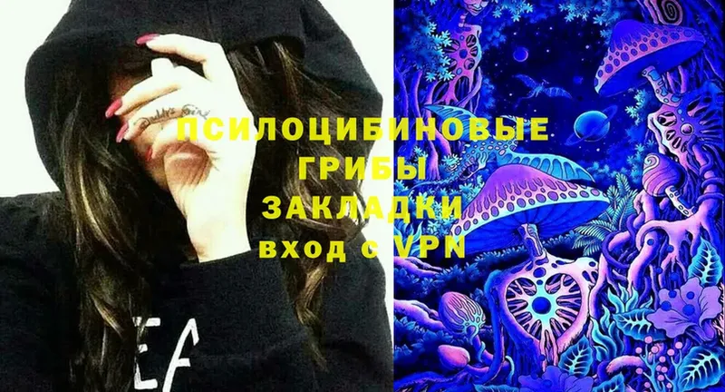 Галлюциногенные грибы Magic Shrooms  kraken рабочий сайт  Зеленокумск 