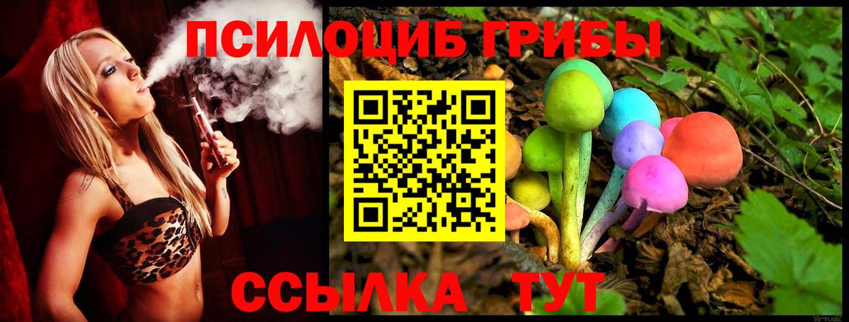 Псилоцибиновые грибы Psilocybe  Зеленокумск 