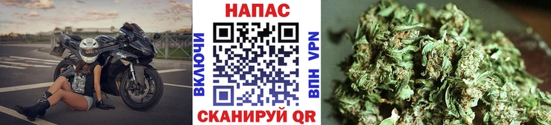 Бошки марихуана OG Kush Зеленокумск